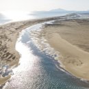 팽나무 민박 이미지