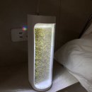 자연가습 이끼 테라리엄 이미지