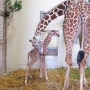 유동물원 이미지