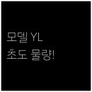 개인화물1624 | 테슬라 모델 YL 초도 물량 한정 빠른 예약 필요