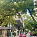 서현호스텔 이미지