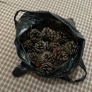 강남동로 100번길1 이미지