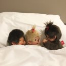 세븐일레븐 안성도기행복점 | 임시저장만 해놓았던 글