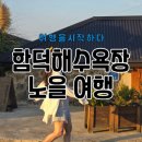 별에별제주 | 제주 함덕해수욕장 노을 구경 하고 맛집 들려 하이볼도 한잔!