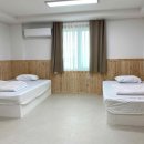 여수애견하우스 이미지