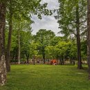 요가쏘울 이미지