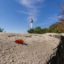 한양체육관 이미지