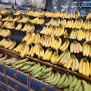 하와이마트 이미지