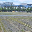 월드컵경기장 이미지