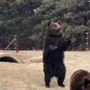벌떡 - 광주시 경충대로 1256 | 벌떡