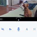 교촌치킨 지저불로점