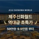 신화항공투어