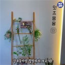 카페 몽몽 이미지