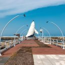 정자항 공원 이미지