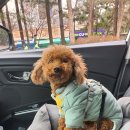 인생개컷 이미지