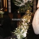 리메인(Remain) | 아이폰스냅 드디어 결정! 리메인스냅 (짝궁코드AY2508)