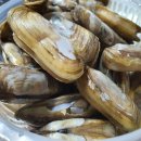 별량시장 이미지