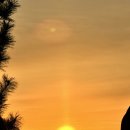 평화약방 | 2026년 첫날 새해 후기