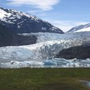 (주)더주노 이미지