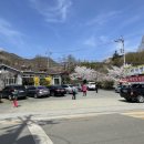 촌돼지 명가 이미지