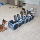 눈보뛰 프리미엄 이미지