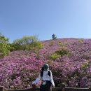 일림산 한치재 주차장 화장실 | [일림산] 철쭉 백패킹 2025.05.04-05