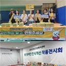 강원미술심리치료센터