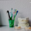 치아사랑치과의원 이미지