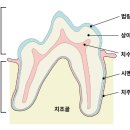 앙리동물병원 이미지
