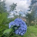 내장산워터파크 | 정읍숙소 정읍신상독채펜션 호수담다 내장저수지 내장산워터파크 근처 펜션 에어비앤비