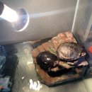 (주)바이브앤 이미지