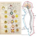 지사미한의원 이미지