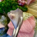 참치아도로이수 - 15737 | 참치아도로이수