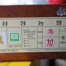 토마토의농비어천가 이미지