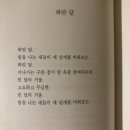 하얀달