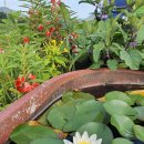 덕고개농장 이미지