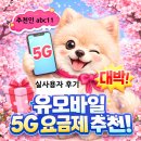 늘푸른알뜰마트 | U+유모바일 알뜰폰요금제 솔직후기, LTE 5G 차이부터 5G장단점까지 정리한 5G 요금제추천