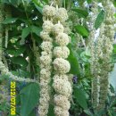 선산대로-20 이미지