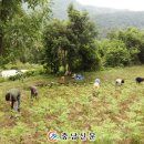 송학1리 이미지