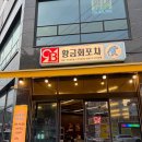제철솜씨 | 광주 월산동 횟집 황금회포차 광주월산점 제철 오징어회, 하모회 후기