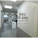 파트너동물의료센터 이미지