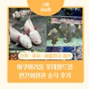 뽑기명당 | 아쿠아리움 연간회원권 뽕 뽑기!가격·주차·생태설명회 명당까지 완벽 정리 (ft. 내돈내산 재등록 후기)
