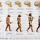 (주)모드 이미지