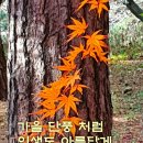 10월.14일.수요일 간추린 뉴스 이미지