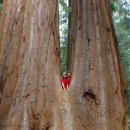 (주)큰나무 이미지