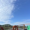 서경문화사 | [부여 여행] ⛰️고란사, 낙화암 생각보다 재밌었던 솔직 후기