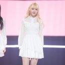 핑거팁 이미지