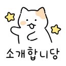 식구디자인 주식회사