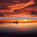 베스트고양이병원 이미지