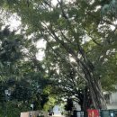 구룡공원입구 이미지